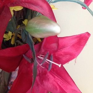 Meet your Posher, Liz